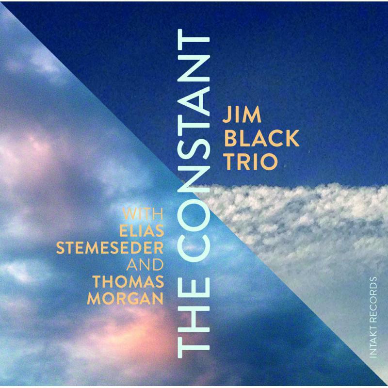 Jim Black Trio - Constant - Cd