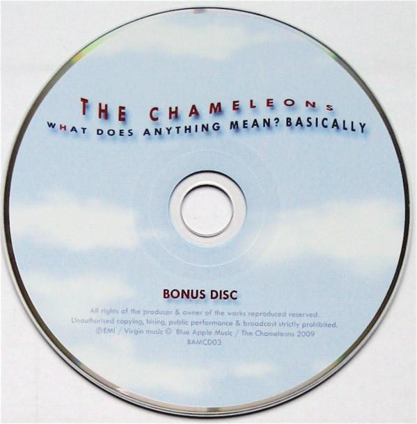 Chameleons - What Does Anything Mean Basically - Cd