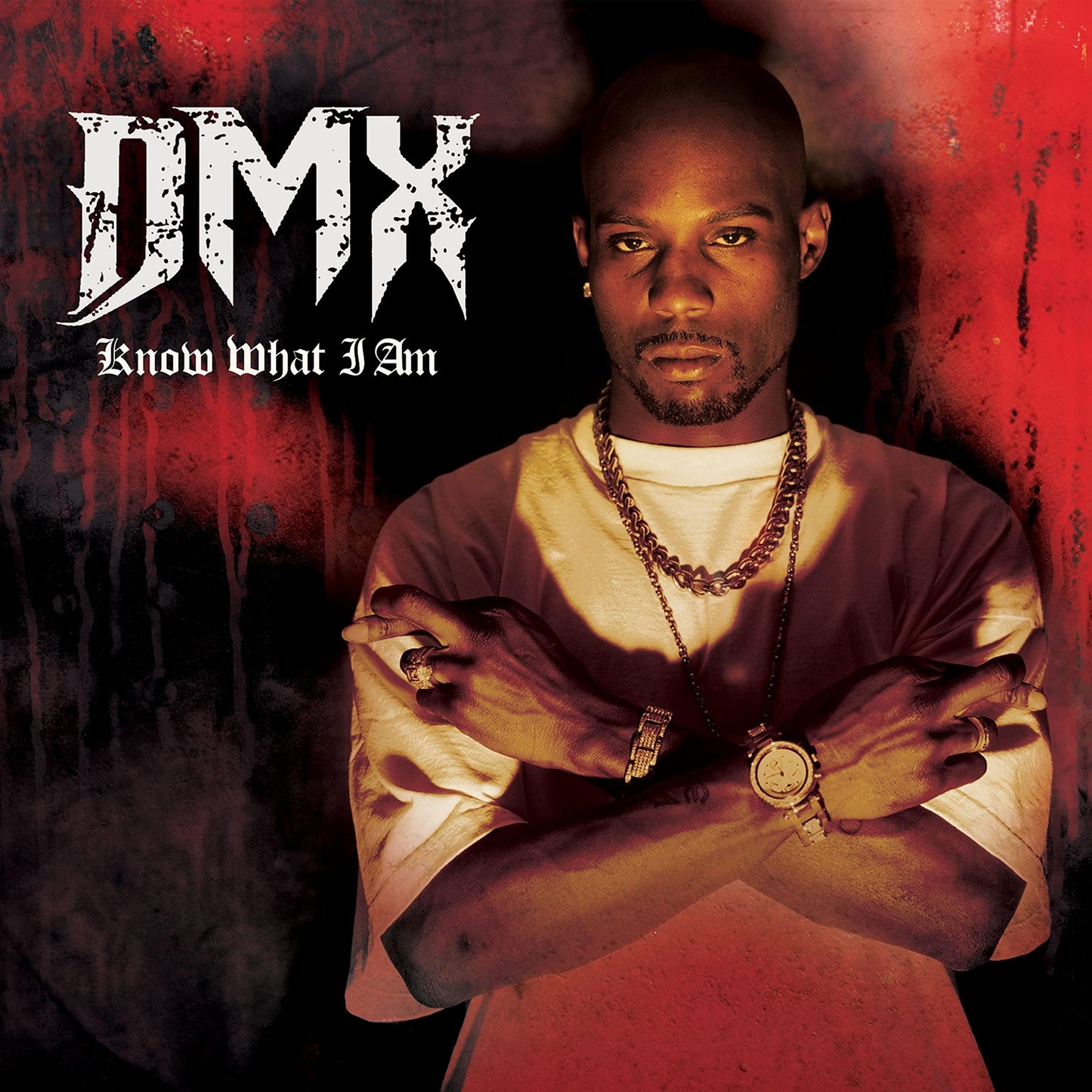 DMX - Know What I Am - 7 Inch