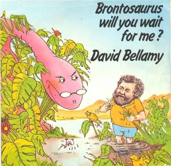 David Bellamy - Brontosaurus Will You Wait For Me? - 7 Inch