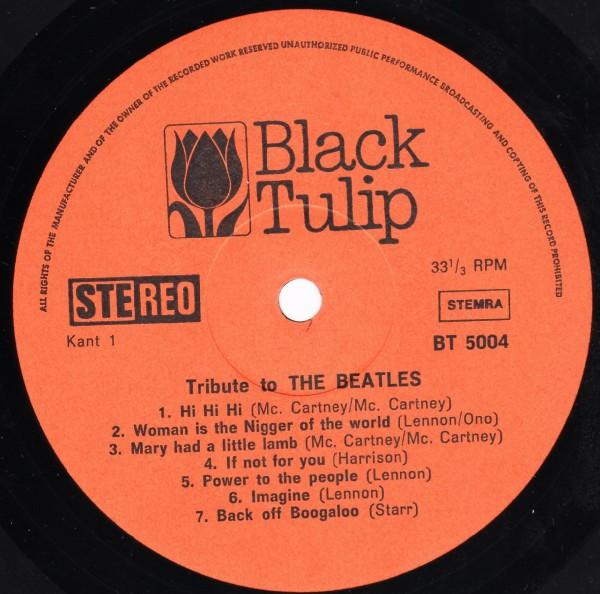 Unknown Artist - Tribute To The Beatles - Lp
