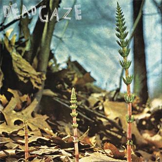 Dead Gaze - Dead Gaze - 10 Inch