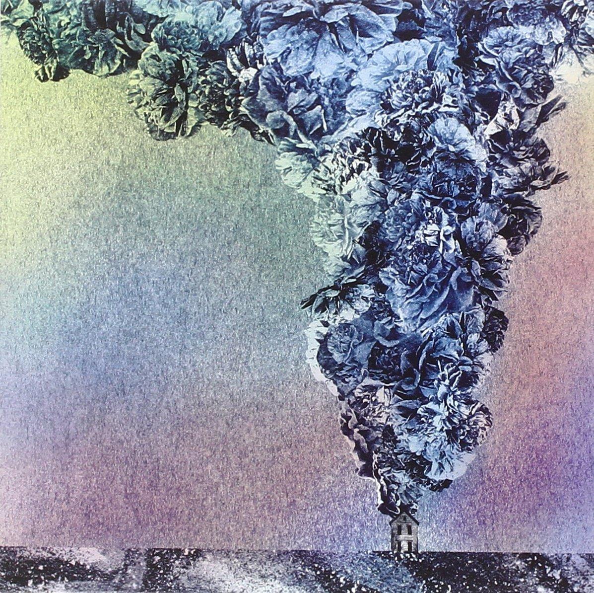 Daughn Gibson - Carnation - Cd