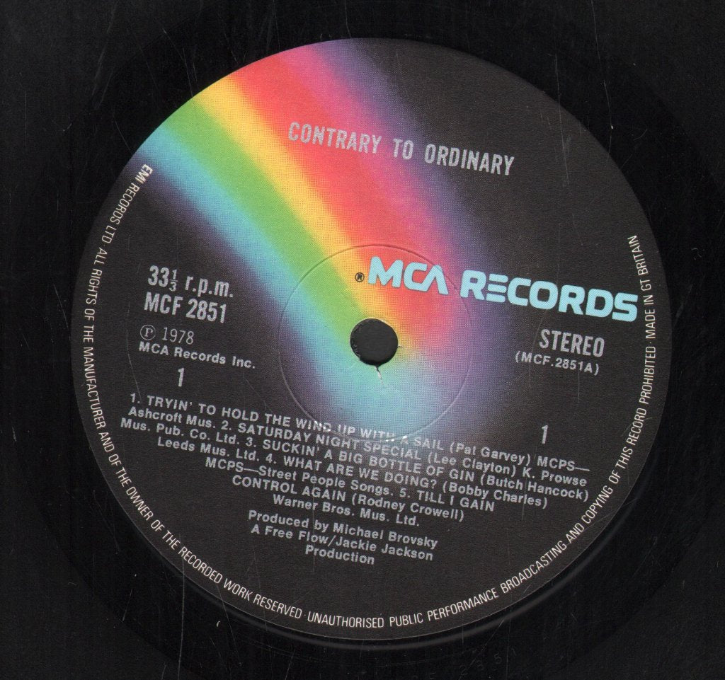 Animal Logic - Someday We'll Understand - 12 Inch