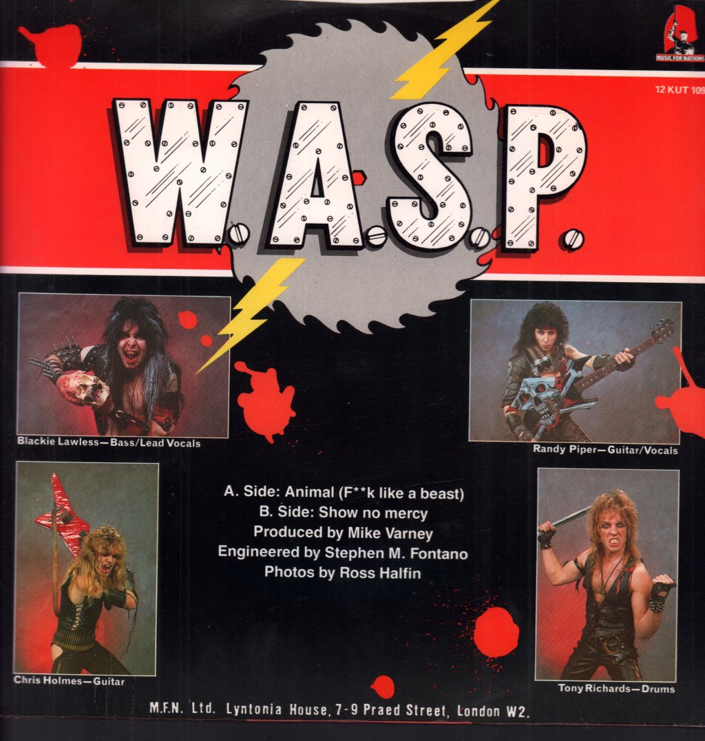 Wasp - Animal - 12 Inch