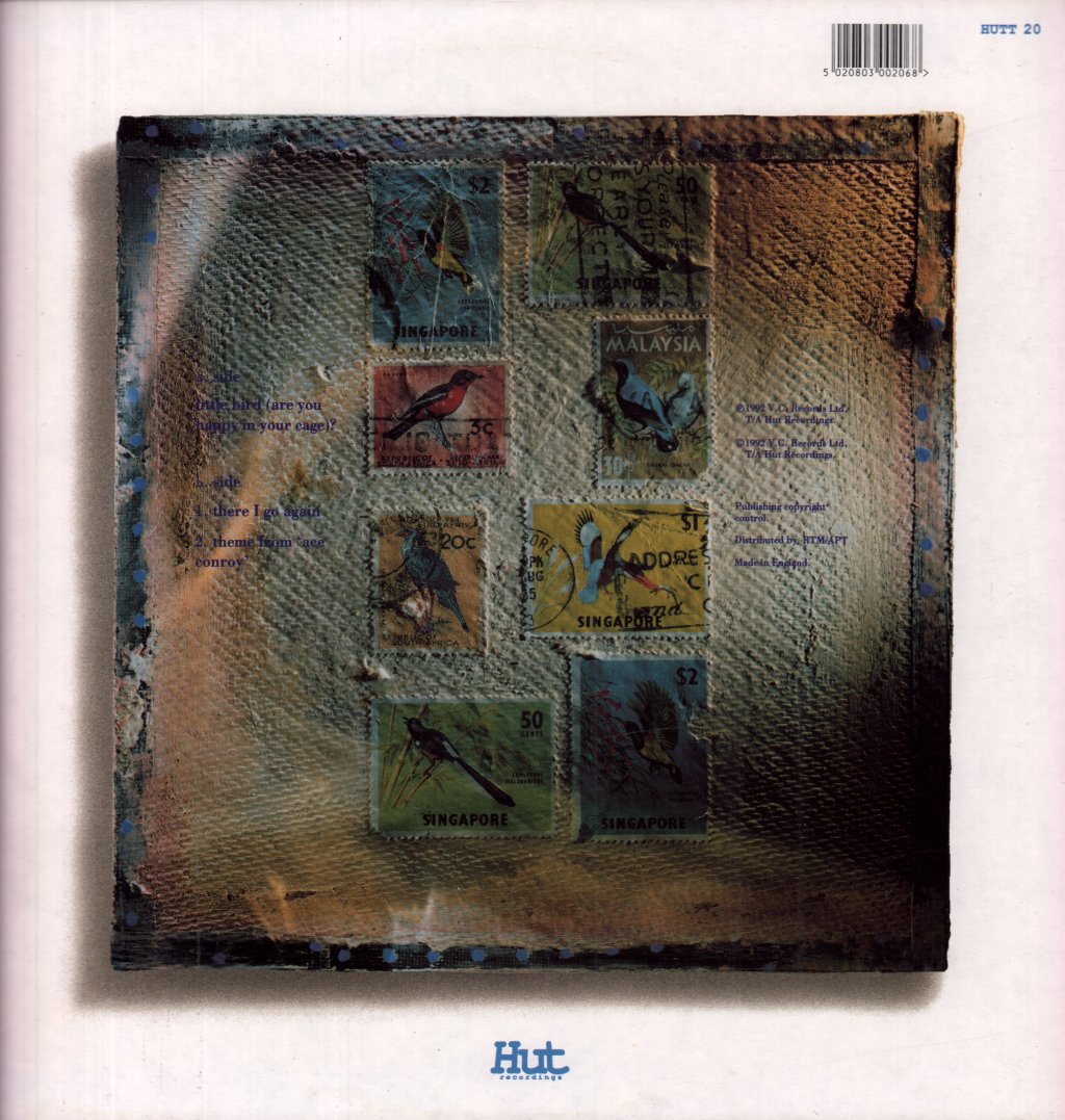Moose - Little Bird - 12 Inch