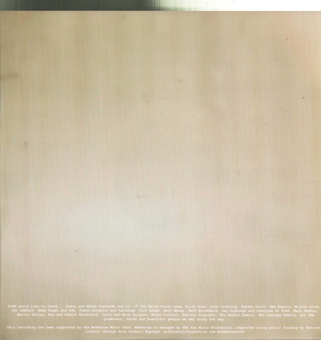 Pins - Wild Nights - Lp