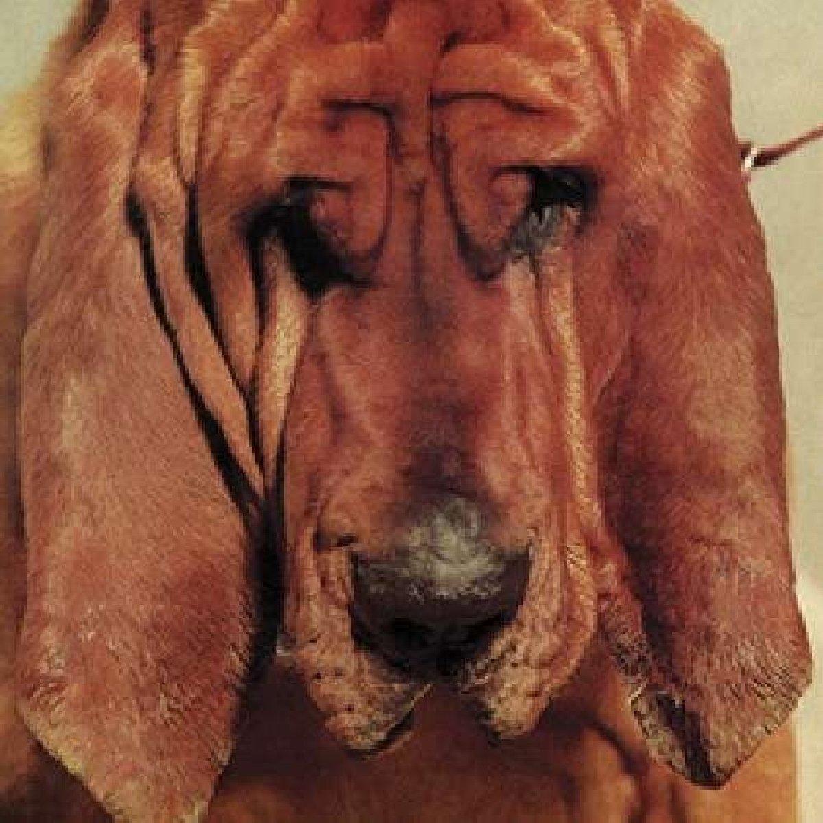 Ty Segall - Goodbye Bread - Lp