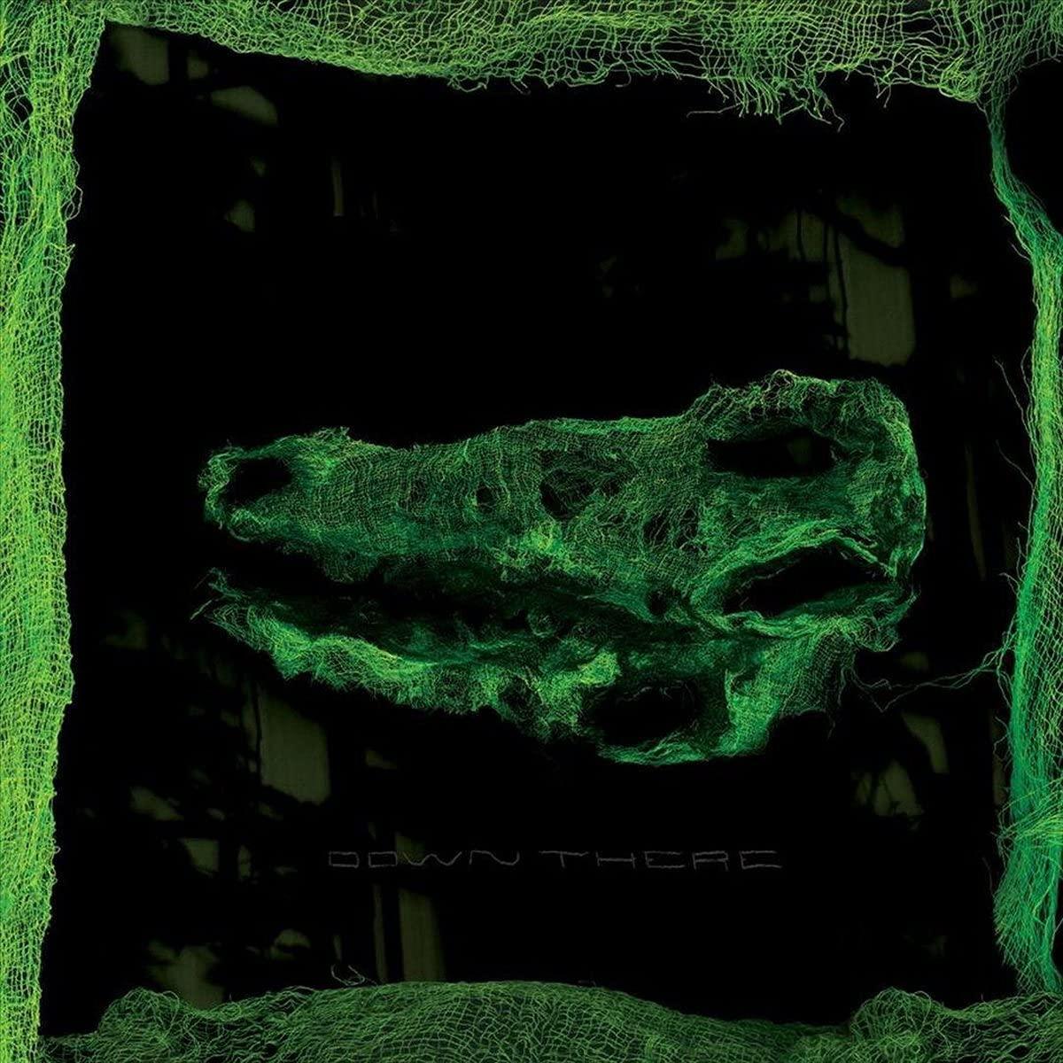 Avey Tare - Down There - Lp
