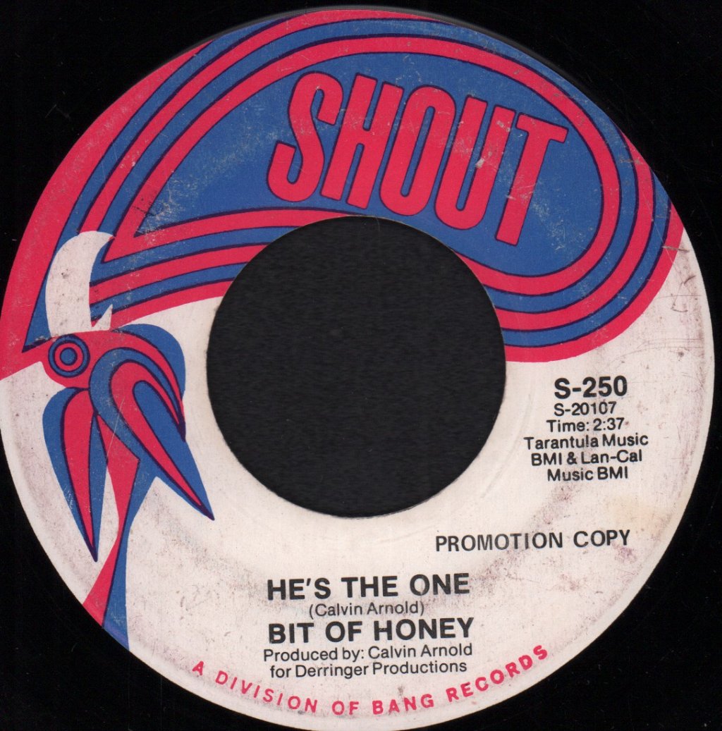 Bit Of Honey - Live In Maid - 7 Inch