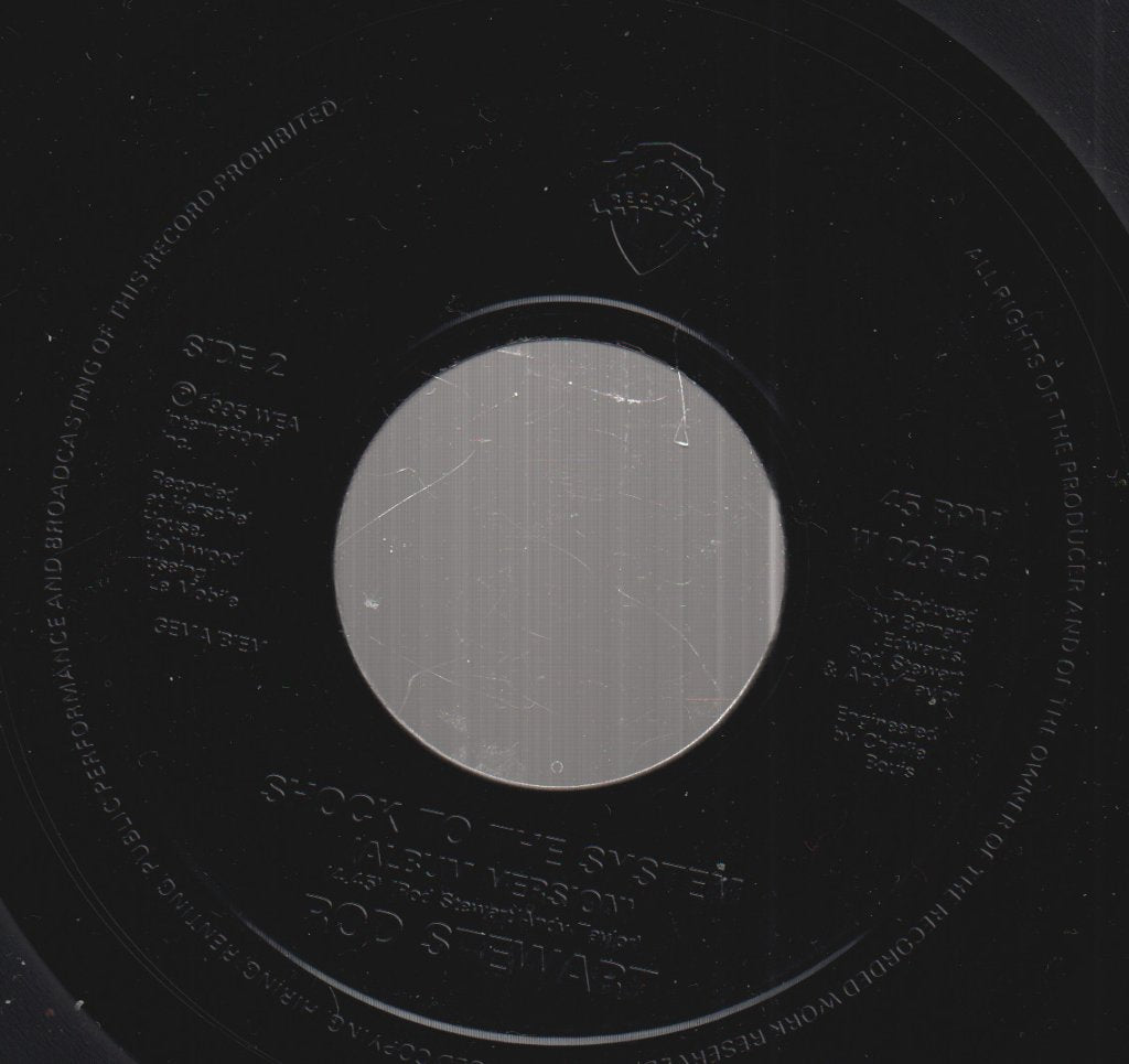 Rod Stewart - You're The Star - 7 Inch
