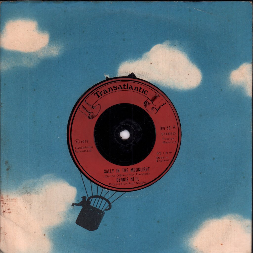 Dennis Neil - Sally In The Moonlight - 7 Inch