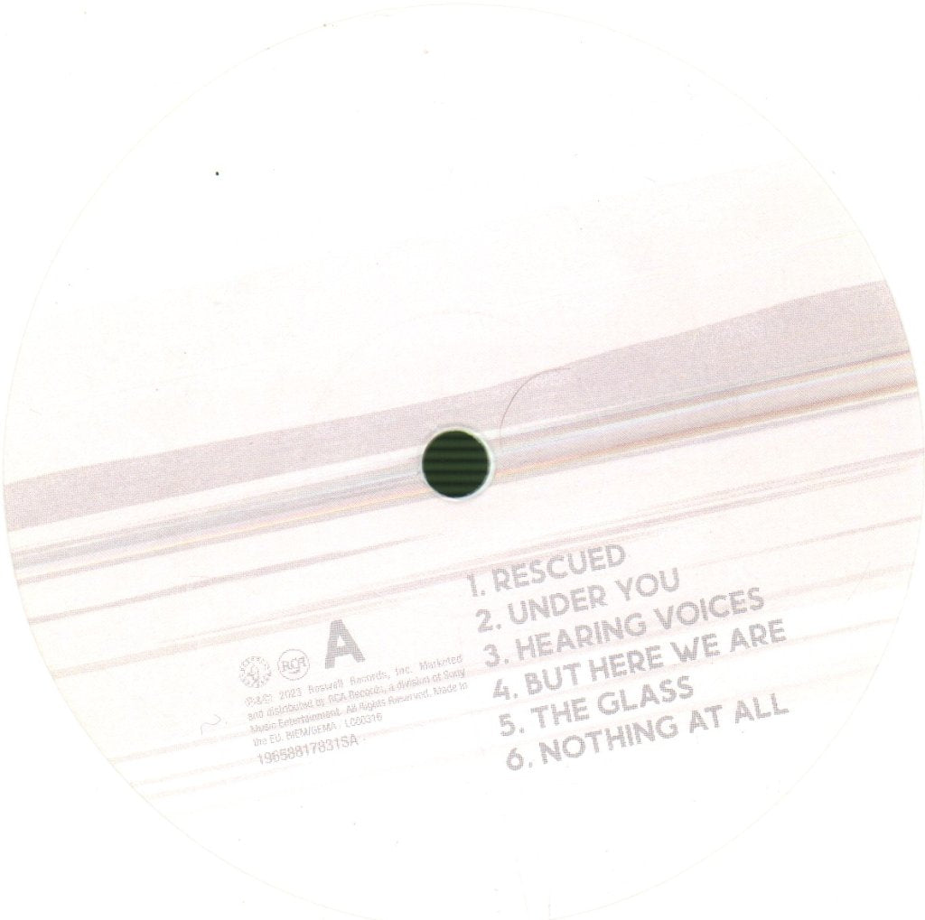 Foo Fighters - But Here We Are - Lp