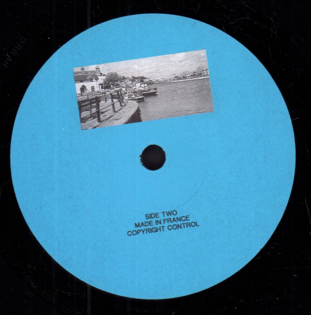 Shelley (Indie) - Reproduction Is Pollution - 7 Inch