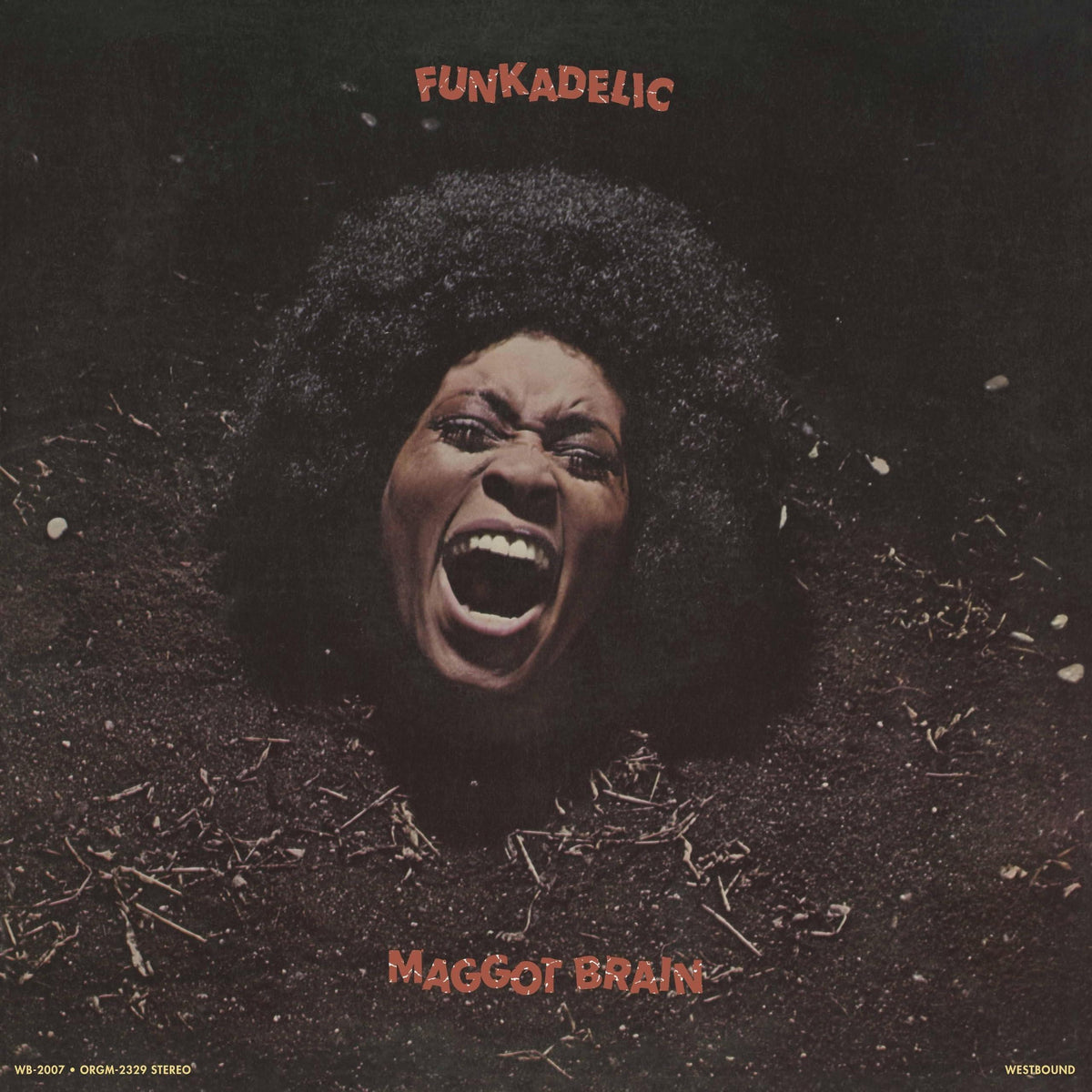 Funkadelic - Maggot Brain - Cd