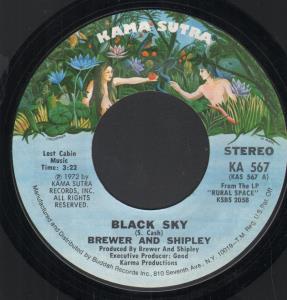 Brewer And Shipley - Black Sky - 7 Inch
