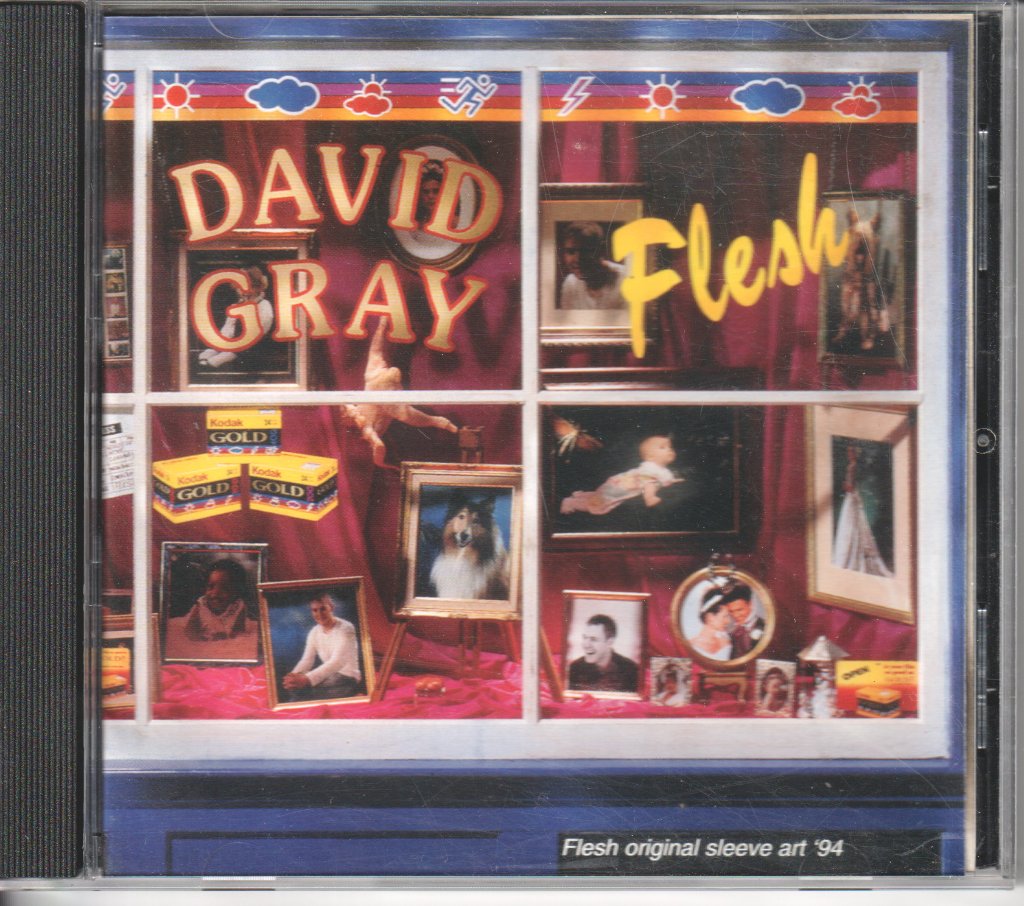 David Gray - Flesh - Cd