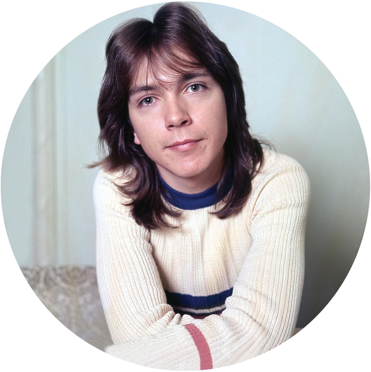 David Cassidy - I Think I Love You - Greatest Hits - Lp