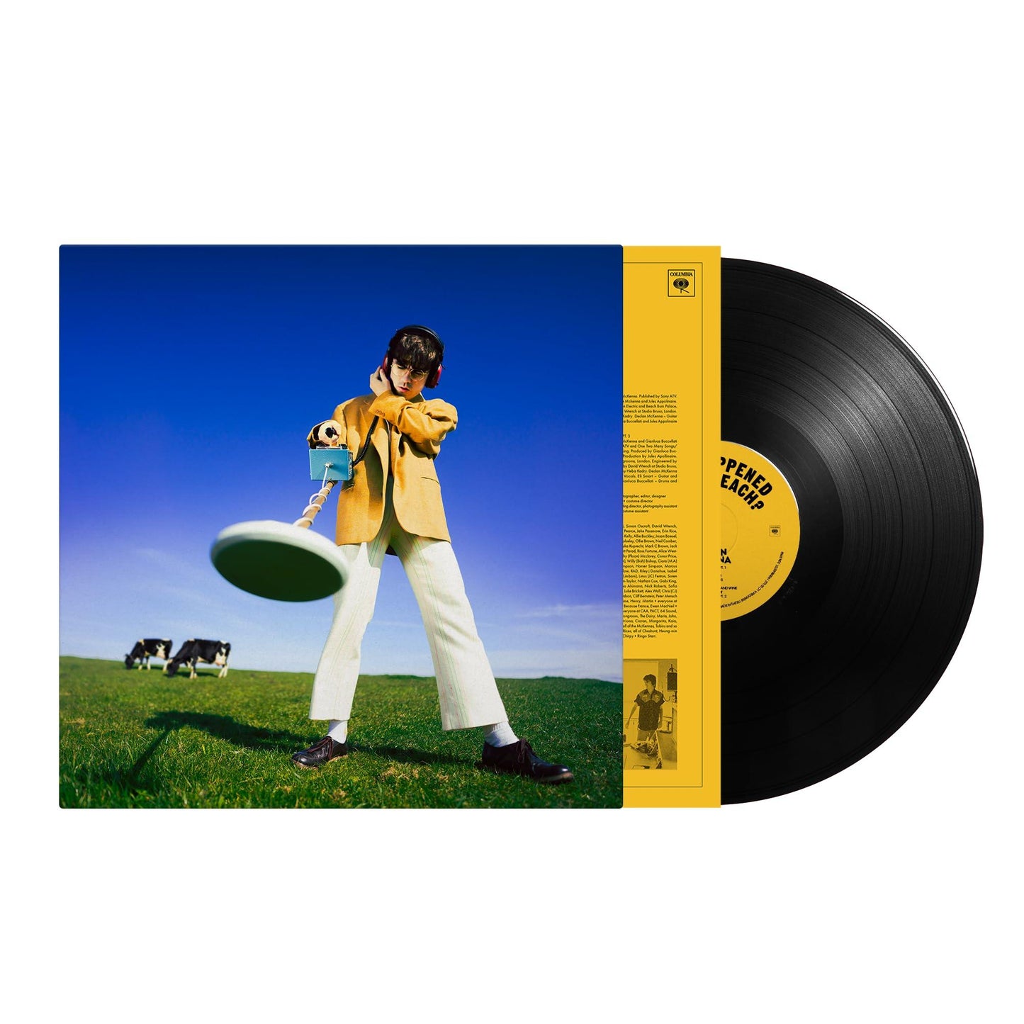 Declan Mckenna - What Happened To the Beach? - Lp