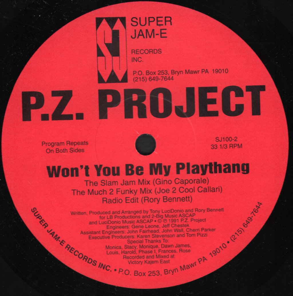 P.Z. Project - Won't You Be My Playthang - 12 Inch