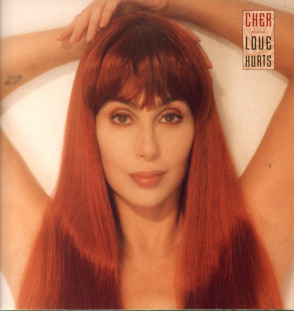 Cher - Love Hurts - Lp