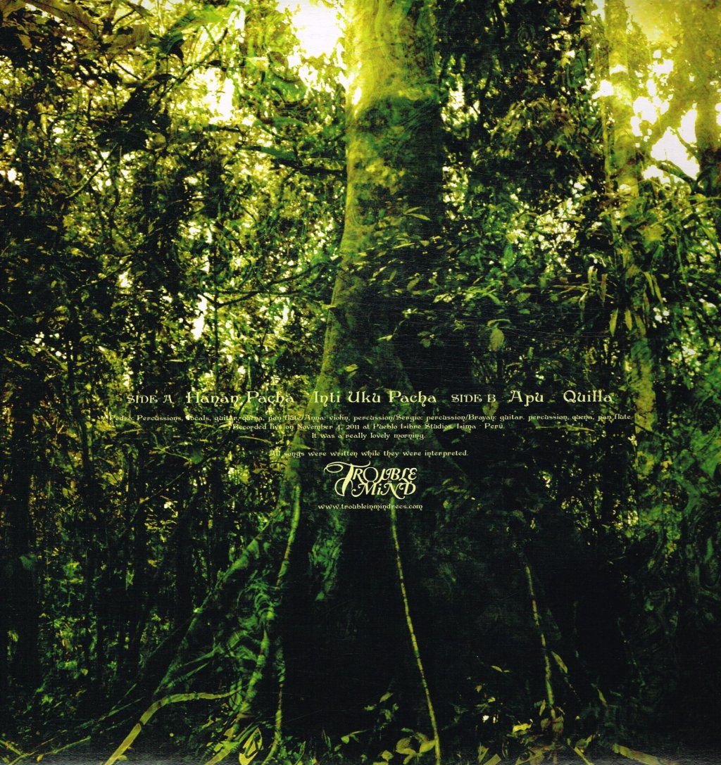 Montibus Communitas - Hacia Aquellos Bosques De Inmensidad - Lp