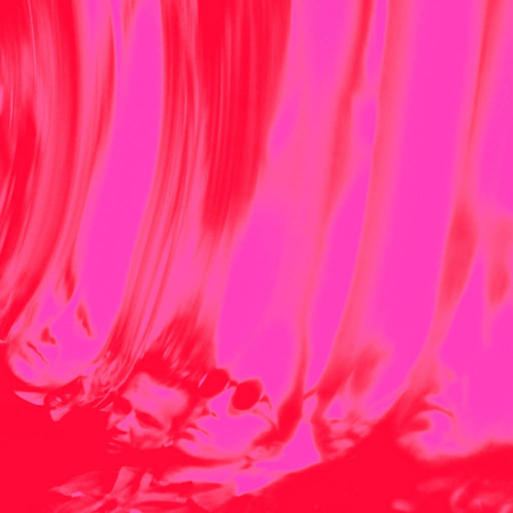 Ty Segall - Love Fuzzz - 12 Inch