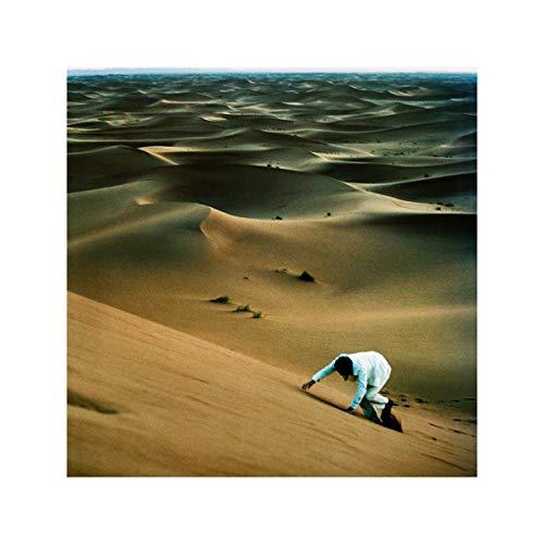 Baxter Dury - Prince of Tears - Lp