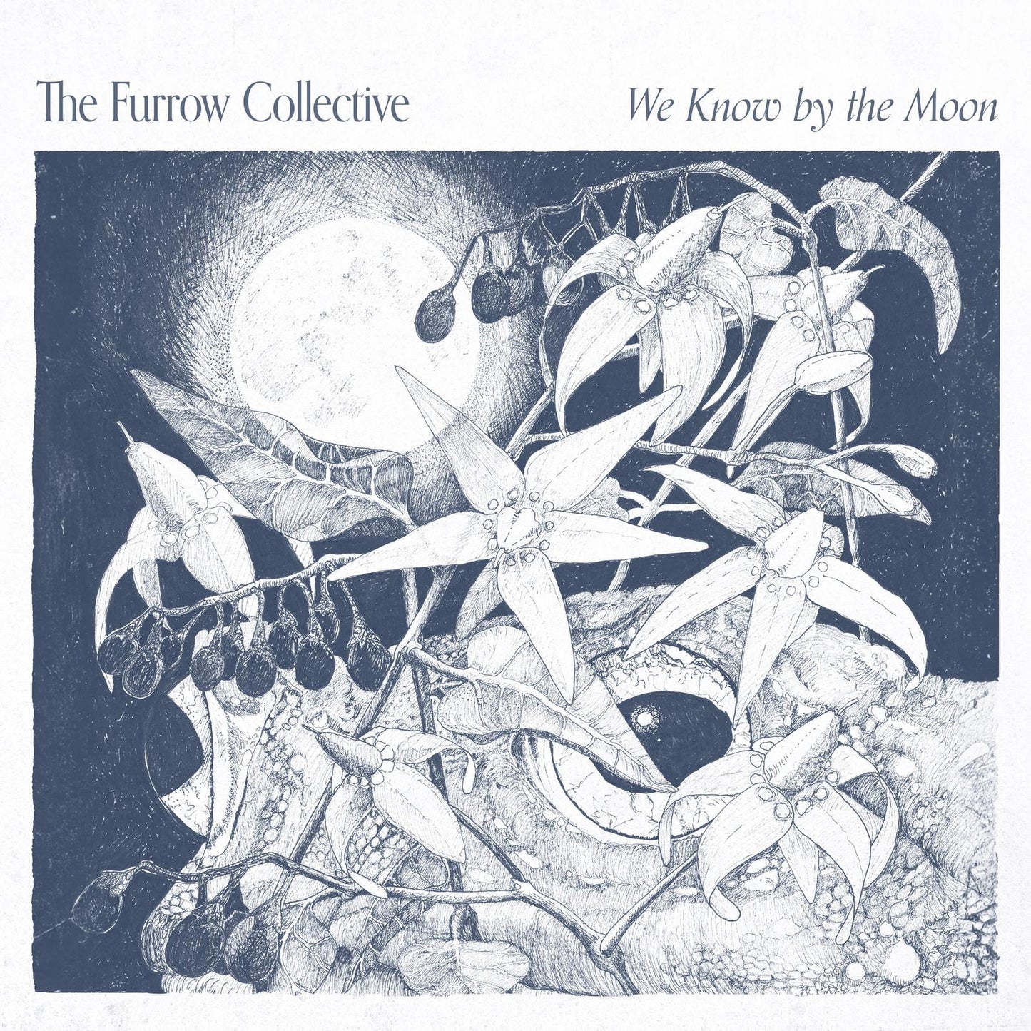 Furrow Collective - We Know By the Moon - Cd