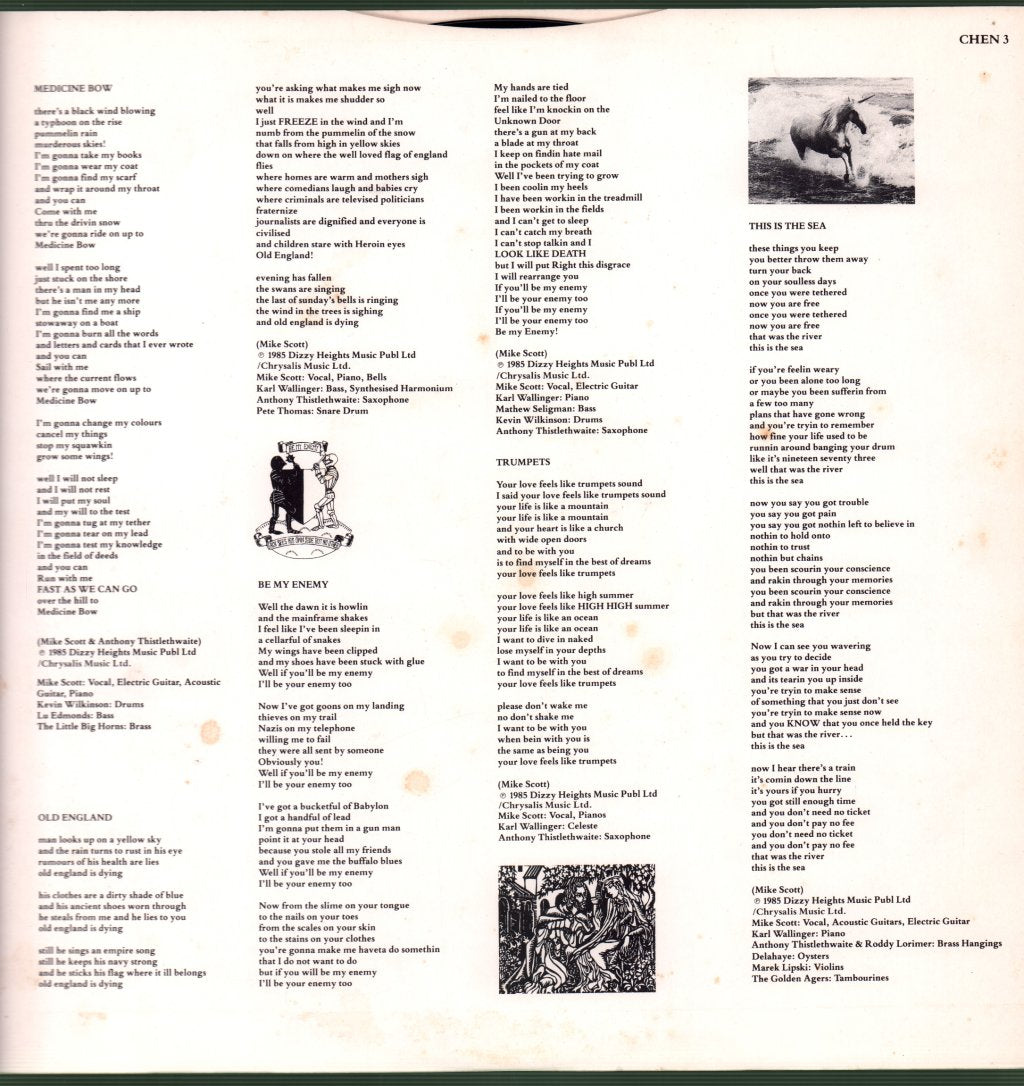 Waterboys - This Is The Sea - Lp