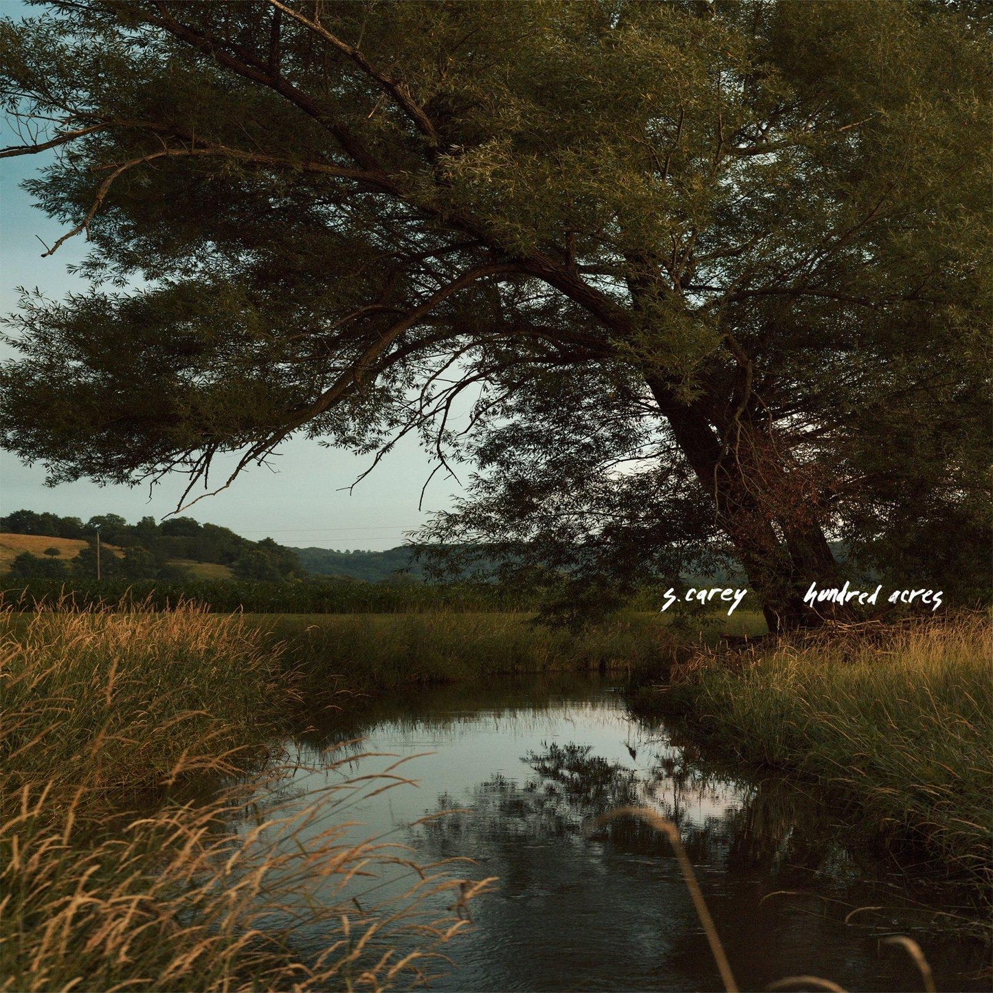 S. Carey - Hundred Acres - Cd
