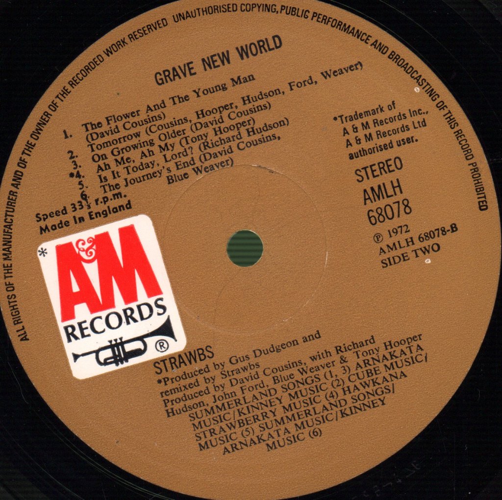 Strawbs - Grave New World - Lp