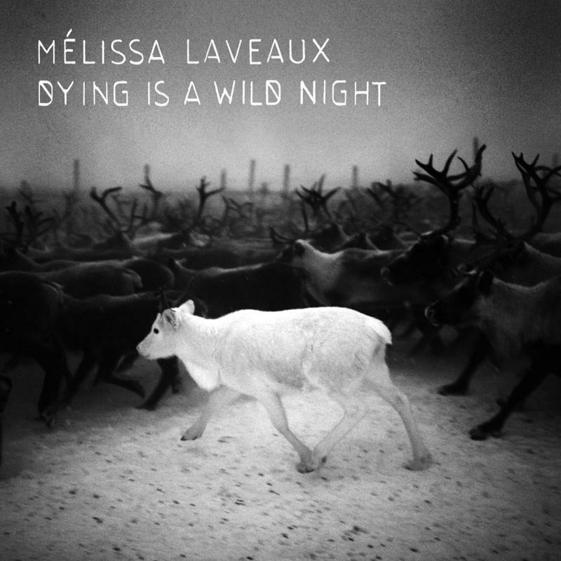 Mélissa Laveaux - Dying Is A Wild Night - Cd