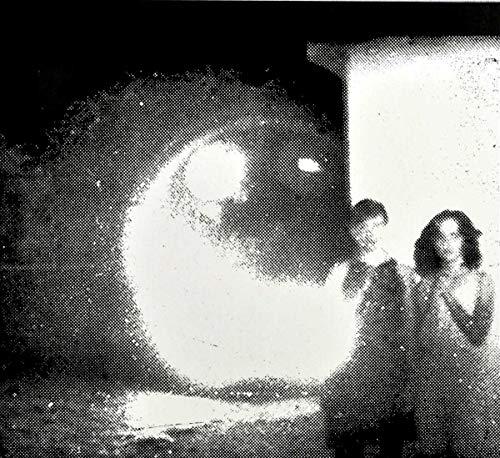 Other Lives - Tamer Animals - Cd