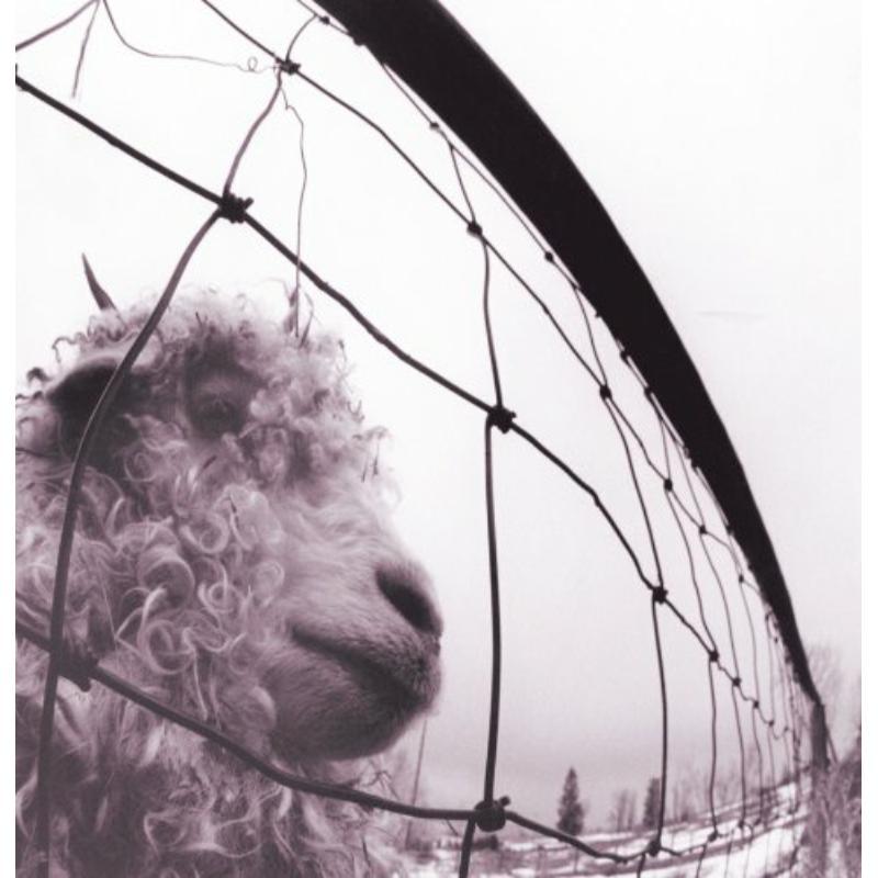 Pearl Jam - Vs. Vinyl Edition (Remastered) - Lp