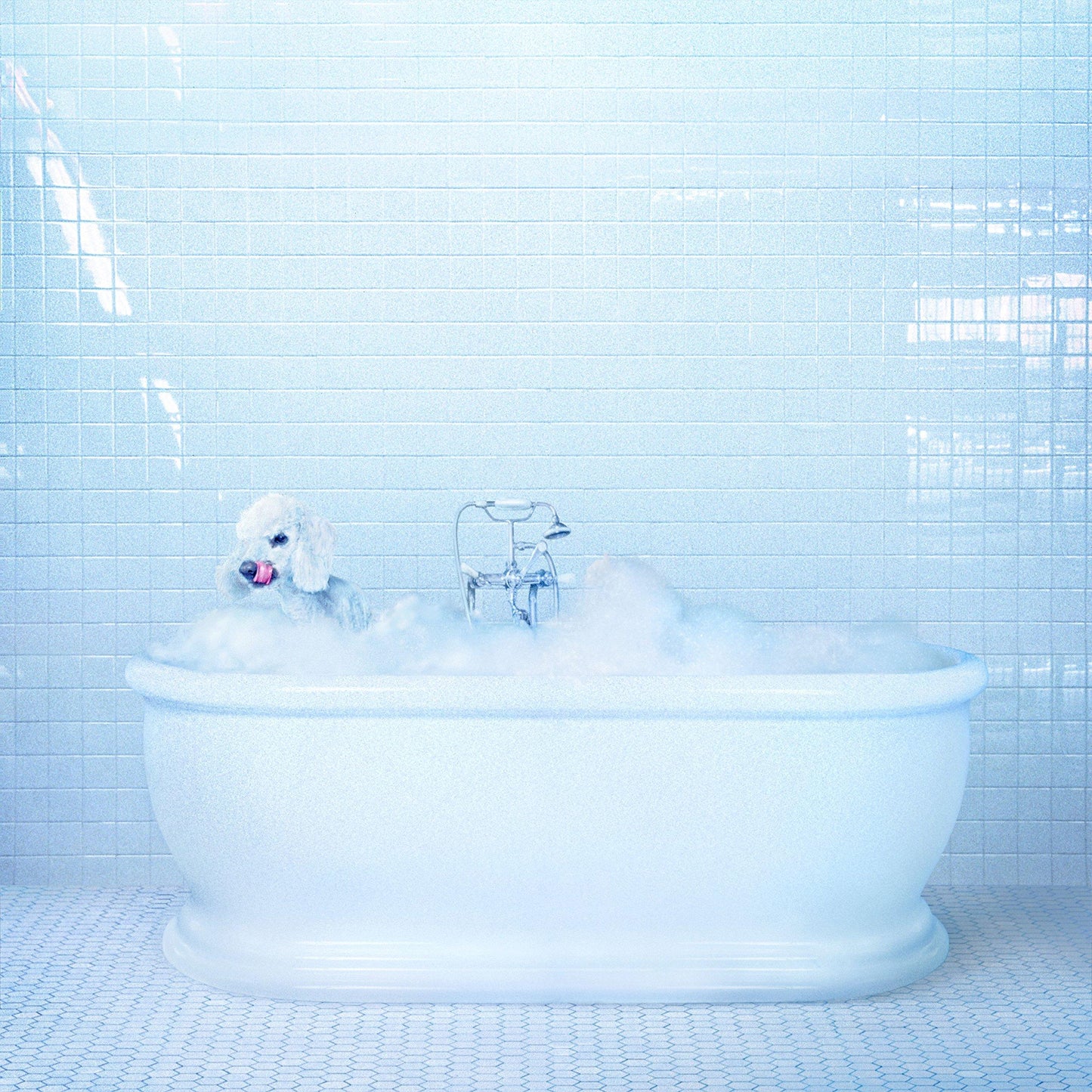 Frankie Cosmos - Vessel - Lp