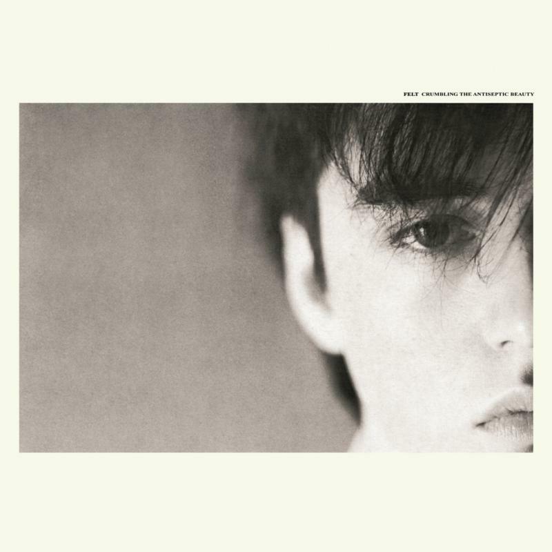 Felt (Indie Group) - Crumbling the Antiseptic Beauty - Lp