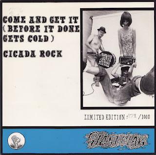 Southern Culture On The Skids - Come And Get It - 7 Inch