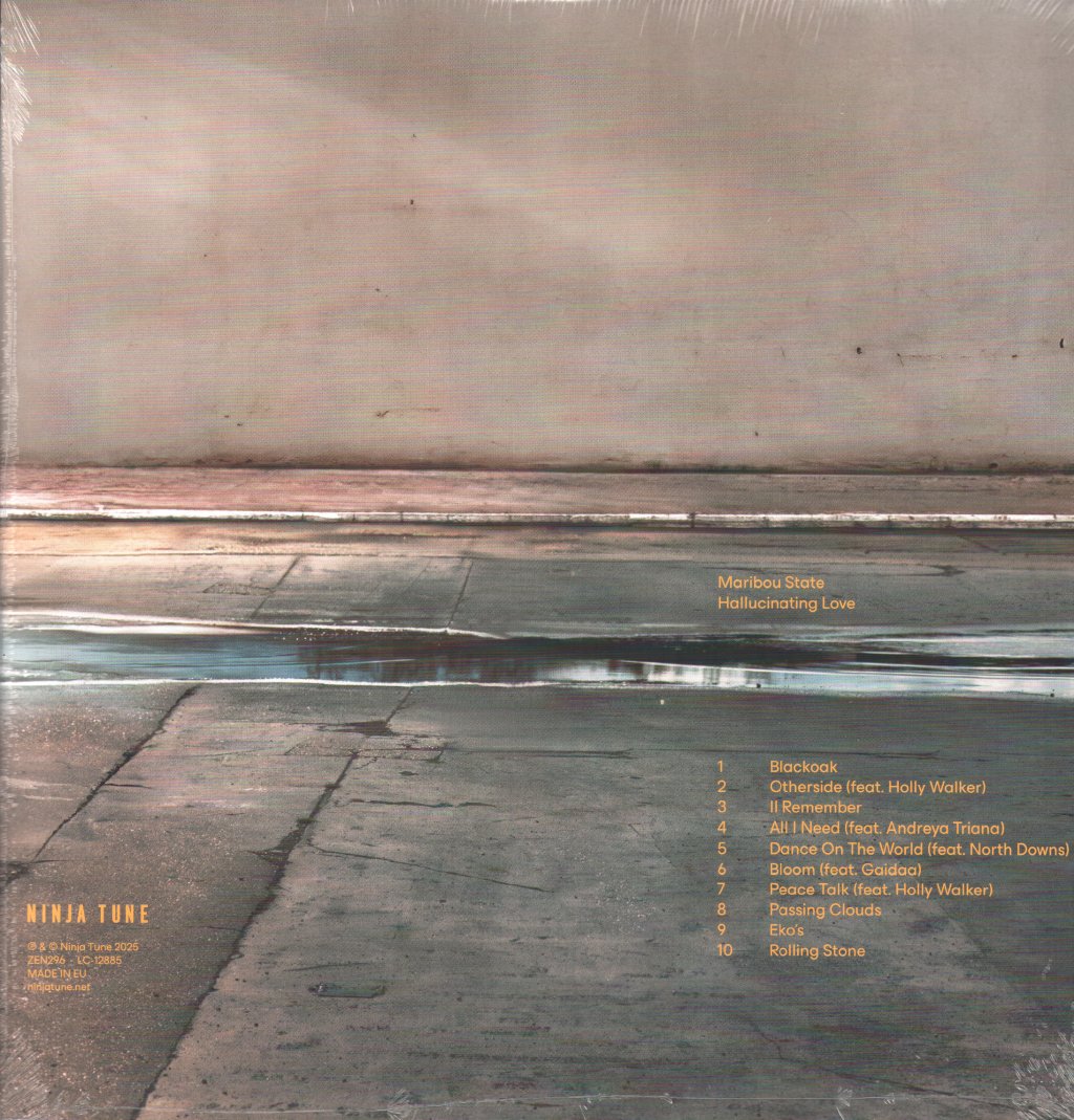 Maribou State - Hallucinating Love - Lp