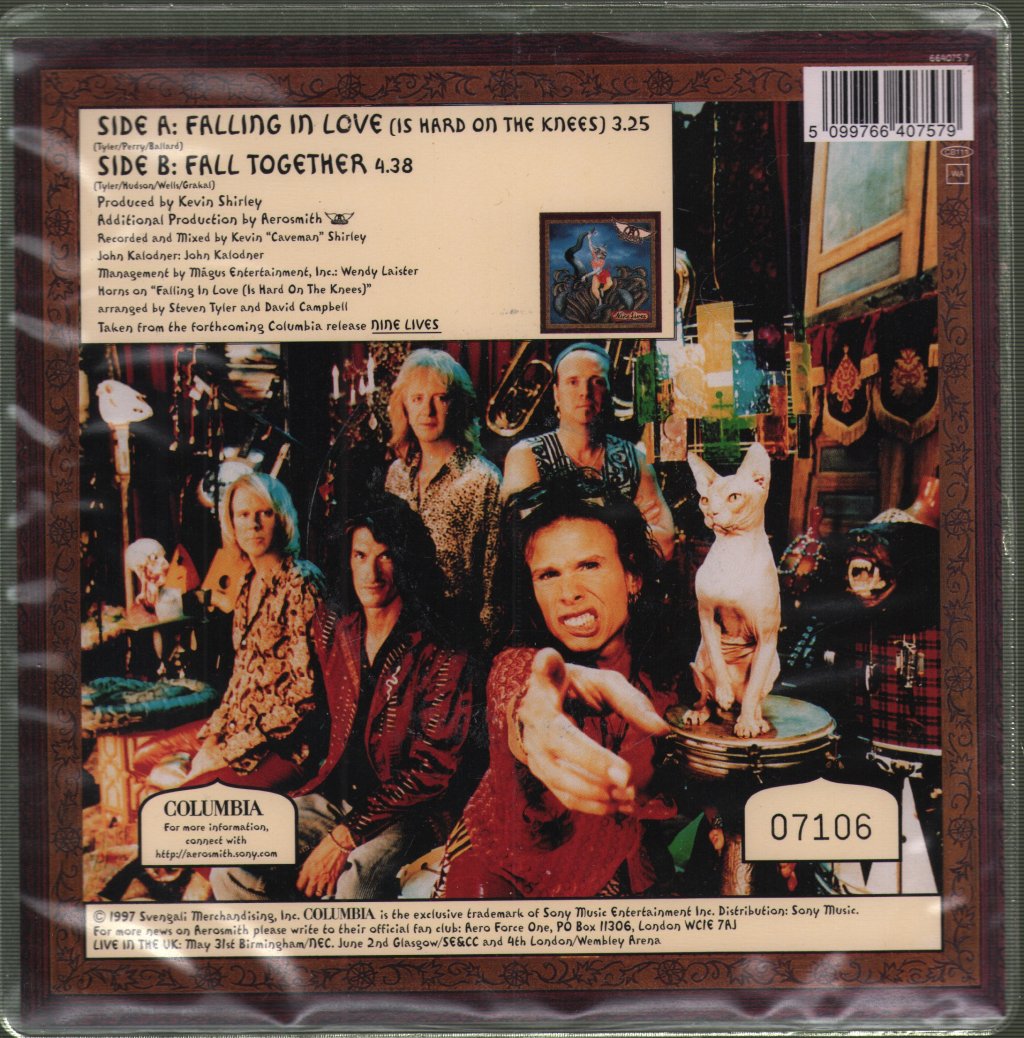 Aerosmith - Falling In Love - 7 Inch