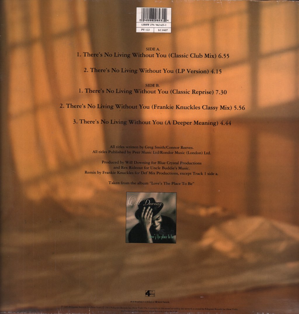 Will Downing - There's No Living Without You - 12 Inch