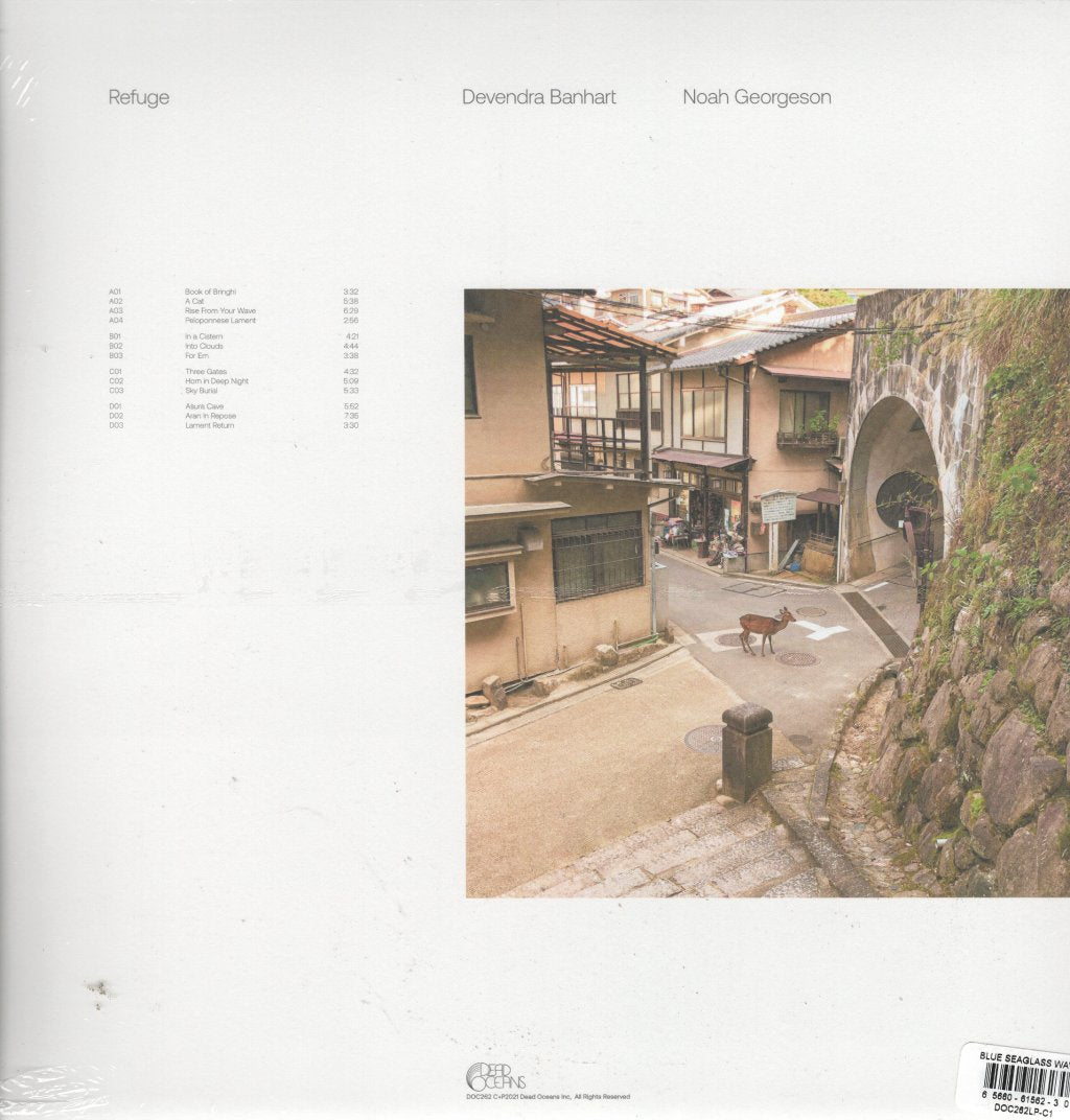 Devendra Banhart and Noah Georgeson - Refuge - Double Lp