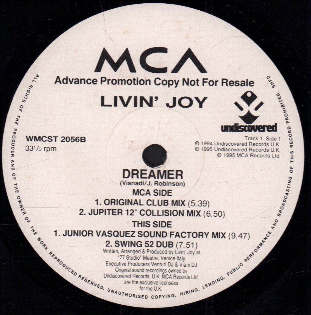 Livin' Joy - Dreamer - 12 Inch