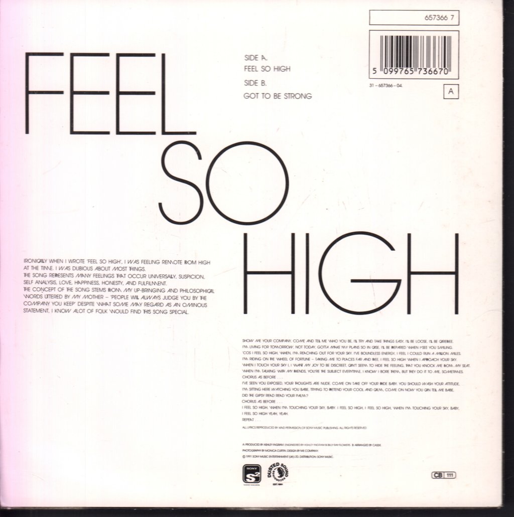 Des'ree - Feel So High - 7 Inch