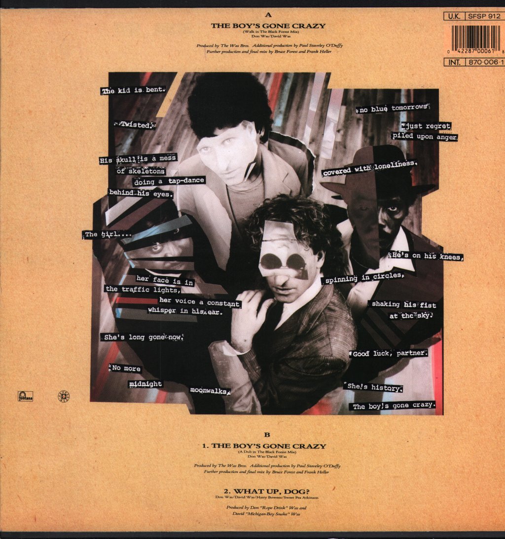 Was Not Was - Boys Gone Crazy - 12 Inch