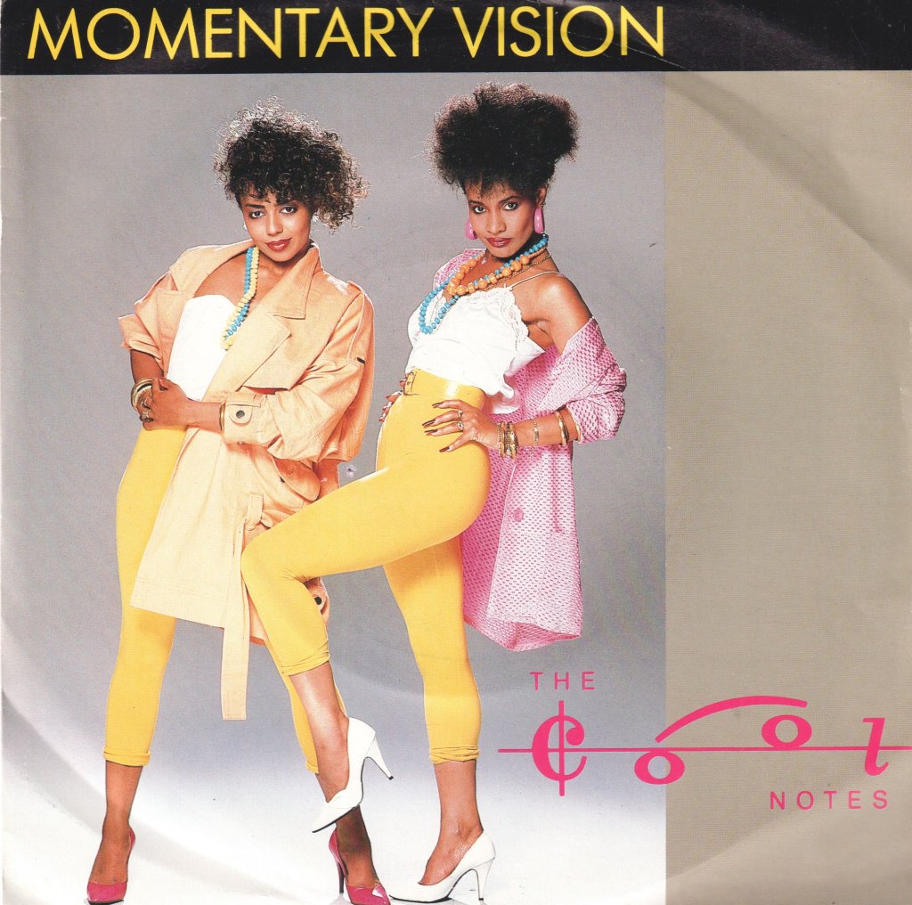 Cool Notes - Momentary Vision - 7 Inch