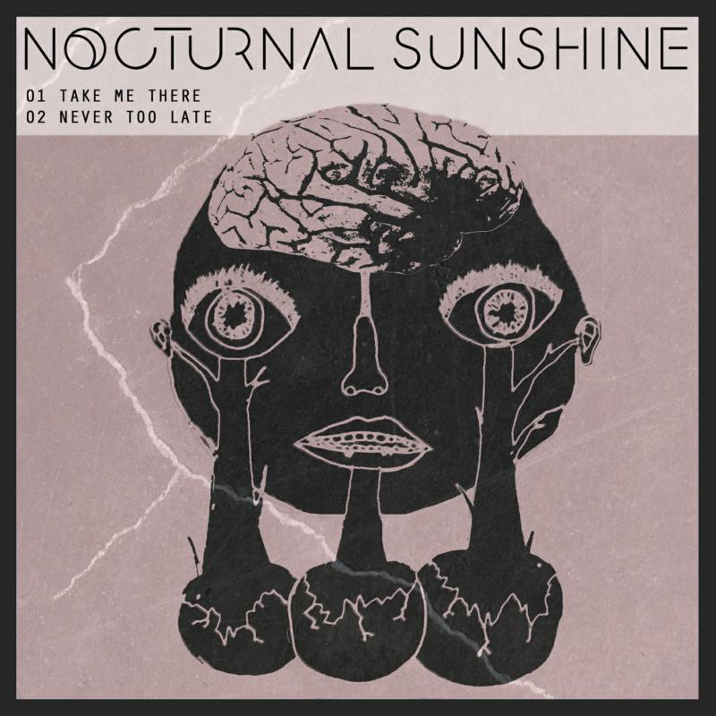 Nocturnal Sunshine - Take Me There - 12 Inch