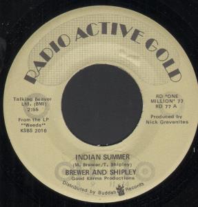Brewer And Shipley - Indian Summer - 7 Inch