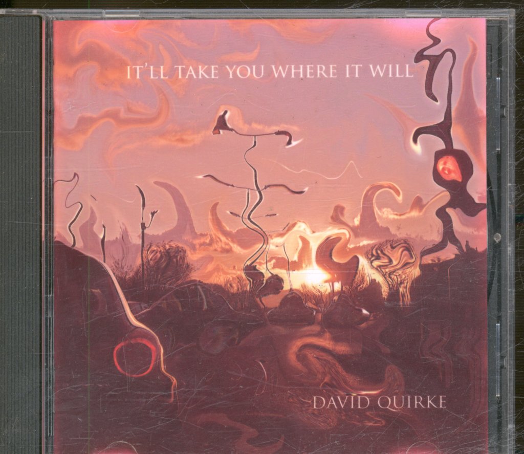 David Quirke - It'll Take You Where It Will - Cdr