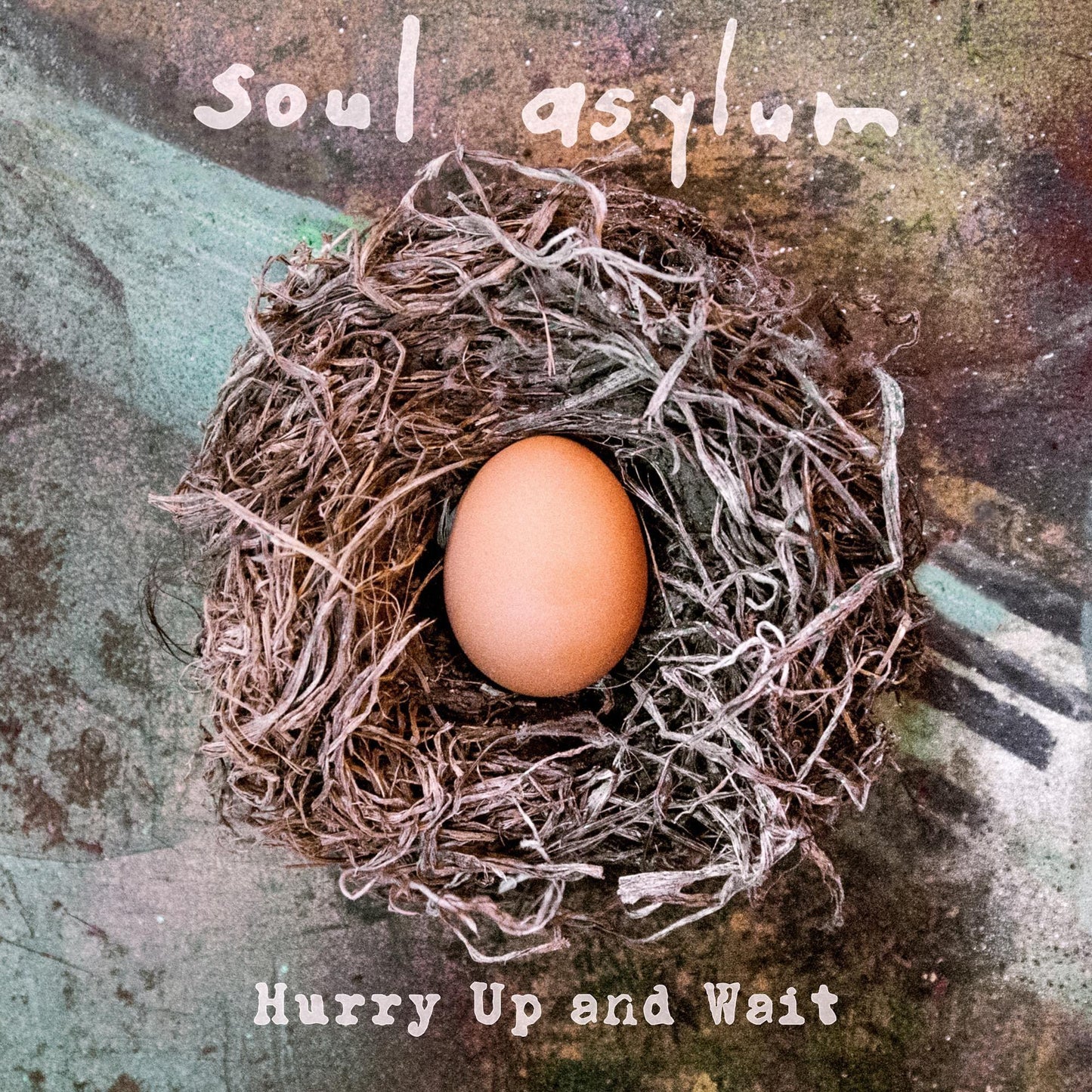 Soul Asylum - Hurry Up and Wait - Cd